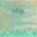 CD - Caleya - These Waves Will Carry US Home