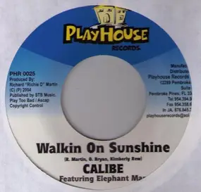 Calibe - Walking On Sunshine