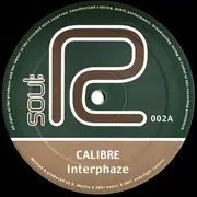 12inch Vinyl Single - Calibre - Interphaze / Fire & Water - Company Sleeve