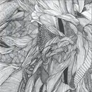 LP-Box - Calibre - Shelflife 7