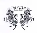 CD Single - Caligola - Forgive Forget