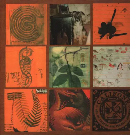 Califone - All My Friends Are Funeral Singers