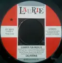 7inch Vinyl Single - California - Summer Fun Medley