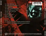 CD - Callenish Circle - My Passion // Your Pain
