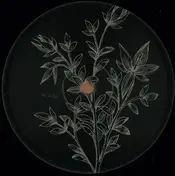 PAGALVE - Reverse Stories