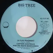 Captain Australia And His Mate Downunder - Skylab Fragment