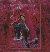 Double LP - Captain Beefheart And His Magic Band - Grow Fins Vol. I: Just Got Back From The City / Electricity