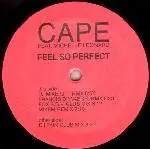 12inch Vinyl Single - Cape - Feel So Perfect