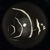 Cape - On S´entend Ep