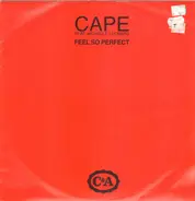 Cape Feat. Michelle Leonard - Feel So Perfect