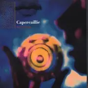 CD - Capercaillie - Secret people