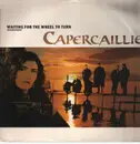 12inch Vinyl Single - Capercaillie - Waiting For The Wheel To Turn (Extended Remix)