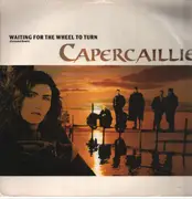 12inch Vinyl Single - Capercaillie - Waiting For The Wheel To Turn (Extended Remix)