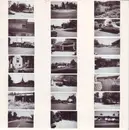 7inch Vinyl Single - Capitalist Casualties - Planned Community - 6'