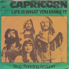 Capricorn - Life Is What You Make It