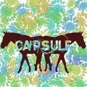 Capsule - Tape+Demo+Tour+More