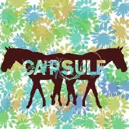 Capsule - Tape+Demo+Tour+More