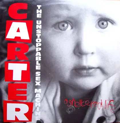 Carter The Unstoppable Sex Machine - A Sheltered Life