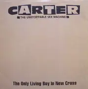 12inch Vinyl Single - Carter The Unstoppable Sex Machine - The Only Living Boy In New Cross