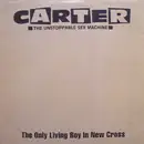 12inch Vinyl Single - Carter The Unstoppable Sex Machine - The Only Living Boy In New Cross