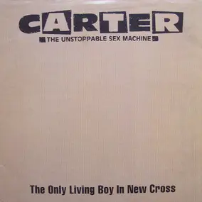 Carter the Unstoppable Sex Machine - The Only Living Boy In New Cross