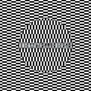 LP - Carter Tutti Void - Transverse - Still Sealed