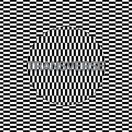 Carter Tutti Void - Transverse