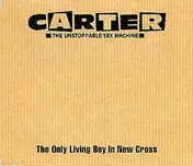 Joe Carter - The Only Living Boy in New Cross