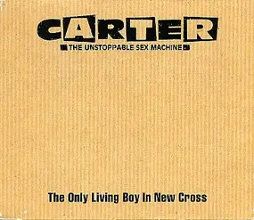 Joe Carter - The Only Living Boy in New Cross