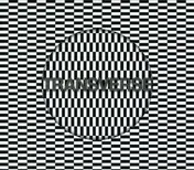 Carter Tutti Void - Transverse