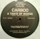12inch Vinyl Single - Carboo - A Taste Of Boogie