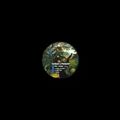 Cardace & Perazzini - Noir Jungle Part 2