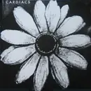 LP - Cardiacs - A Little Man And A House And The Whole World Window