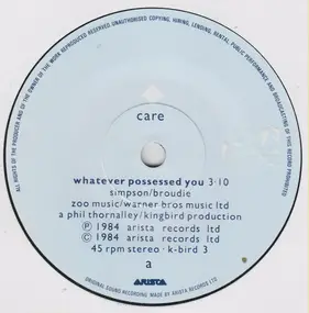 Care - Whatever Possessed You