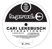 Cari Lekebusch - Vibrations