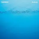 LP & MP3 - Caribou - Suddenly