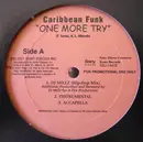 12inch Vinyl Single - Caribbean Funk - One More Try
