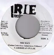 Caribbean Pulse - Mr Man