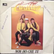Carillon - Non Ho Che Te