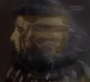 Carina Round - Tigermending