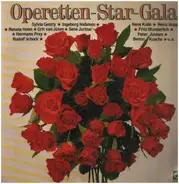 Carl Millöcker / Franz Léhar / Johann Strauss Jr. a.o. - Operetten-Star-Gala
