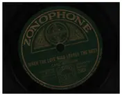Carl Brisson - When The Love Bird Leaves The Nest / Let Me Hold Your Hand, Dear