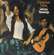 Carlos Montoya - flamenco today