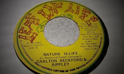 Carlton Reckford & Rippley - Nature Is Life
