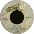 7inch Vinyl Single - Carly Simon - That's The Way I've Always Heard It Should Be