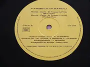 12inch Vinyl Single - Carmelo Di Napoli - Monte-Carlo St Tropez !