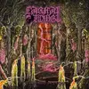 LP - Carnal Tomb - Embalmed In Decay - Magenta/Black Marbled Vinyl / Coloured Vinyl / Li