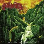 the carnation - Where Death lies