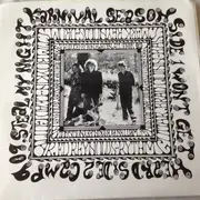 7inch Vinyl Single - Carnival Season - Won't Get Heard