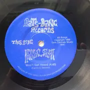7inch Vinyl Single - Carnival Season - Won't Get Heard